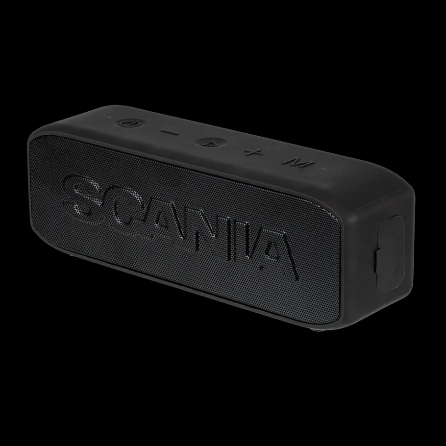 Enceintes*Scania Enceinte