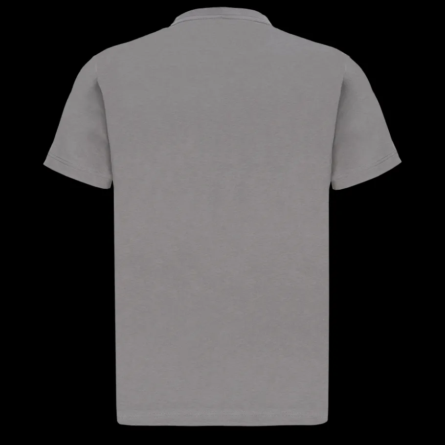 Tee-shirts*Scania T-shirt "Basic logo " gris pierre pour homme